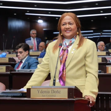 Diputados del PLD proponen interpelar al director del SNS por muertes de niños en Maternidad La Altagracia