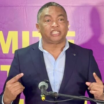 PLD pide aclarar denuncia por supuesta estafa a más de 42 mil usuarios eléctricos