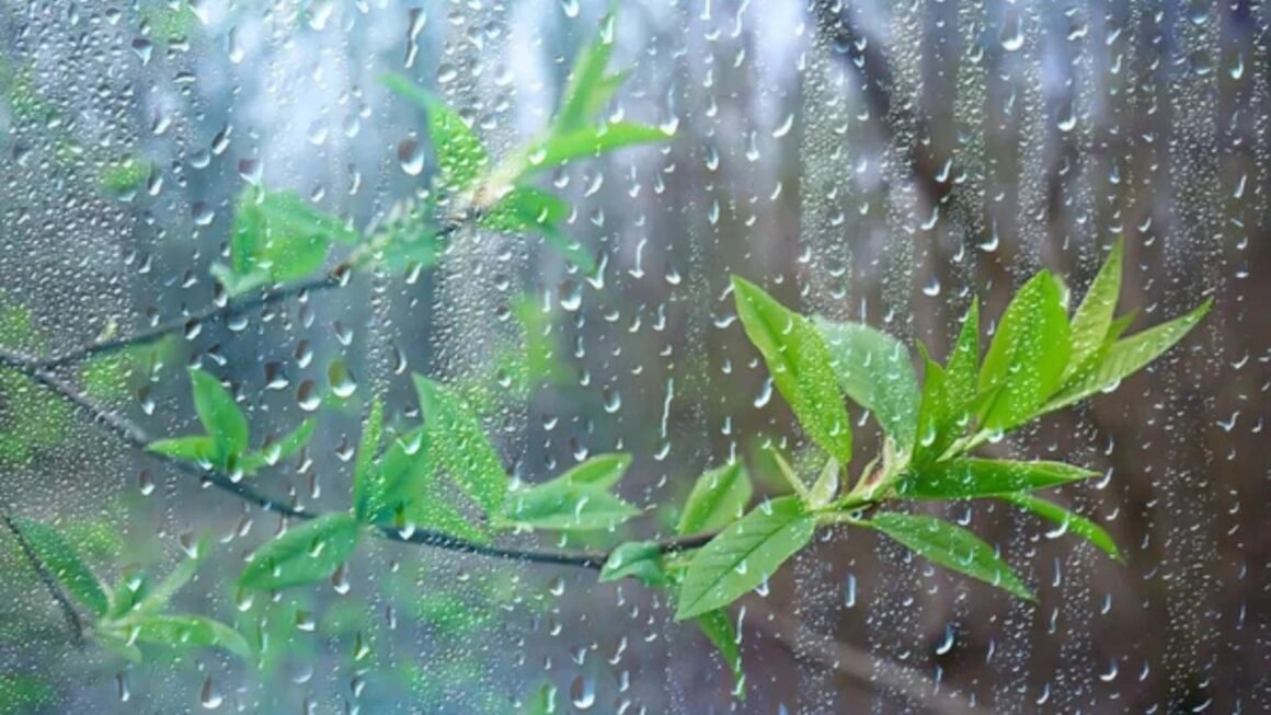Calor y polvo sahariano dominarán este domingo; vaguada provocará aguaceros