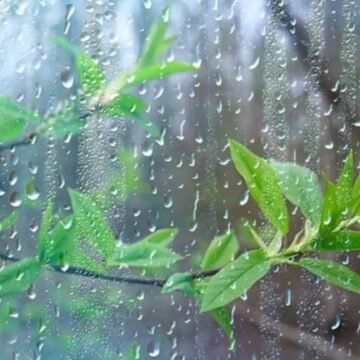 Calor y polvo sahariano dominarán este domingo; vaguada provocará aguaceros