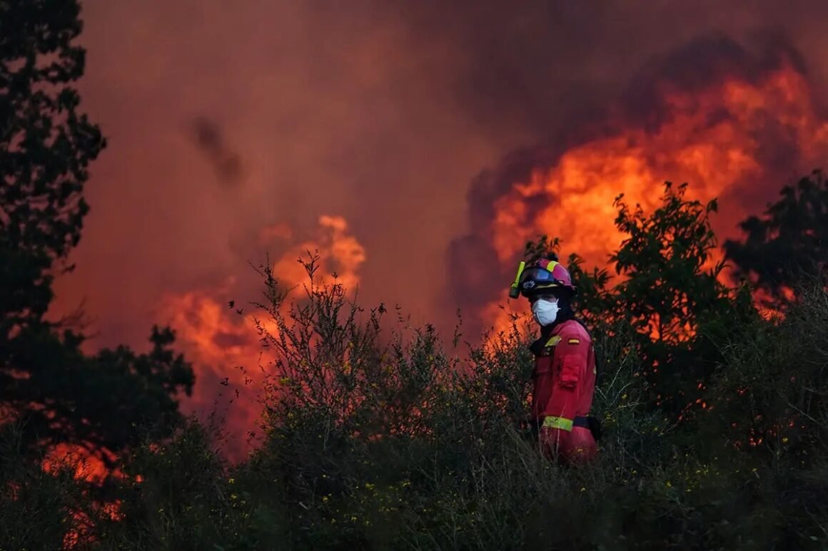 Observatorio alerta por incendios forestales en RD