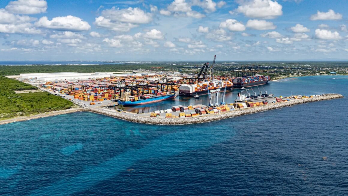 Manglares de Boca Chica alcanzan 86 % de supervivencia