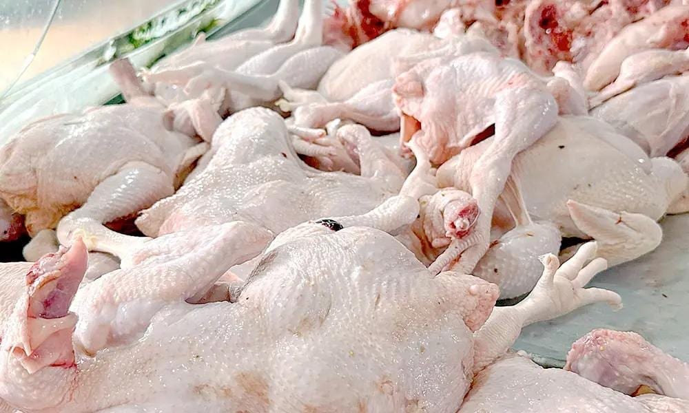 194fde56-6451-4dcf-b1c1-6cc89fa2ac66 Producción nacional fortalece la oferta y favorece precios del pollo desde RD$70 y RD$85