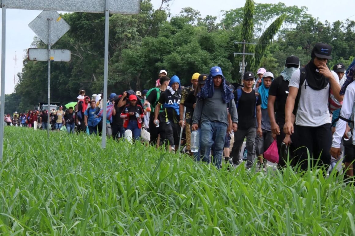 Más de 6,500 migrantes regresan por Panamá rumbo al sur tras no llegar a EE. UU.