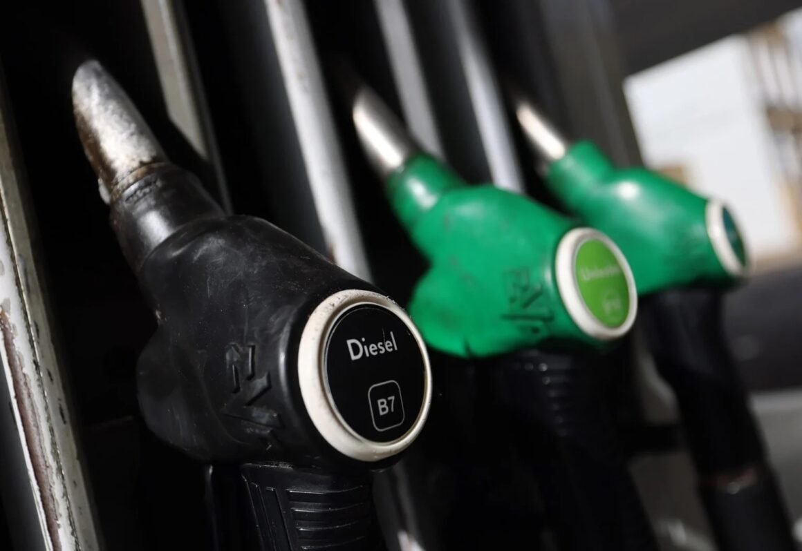 OPEP+ evaluará su oferta de crudo tras anuncio de reservas del G7
