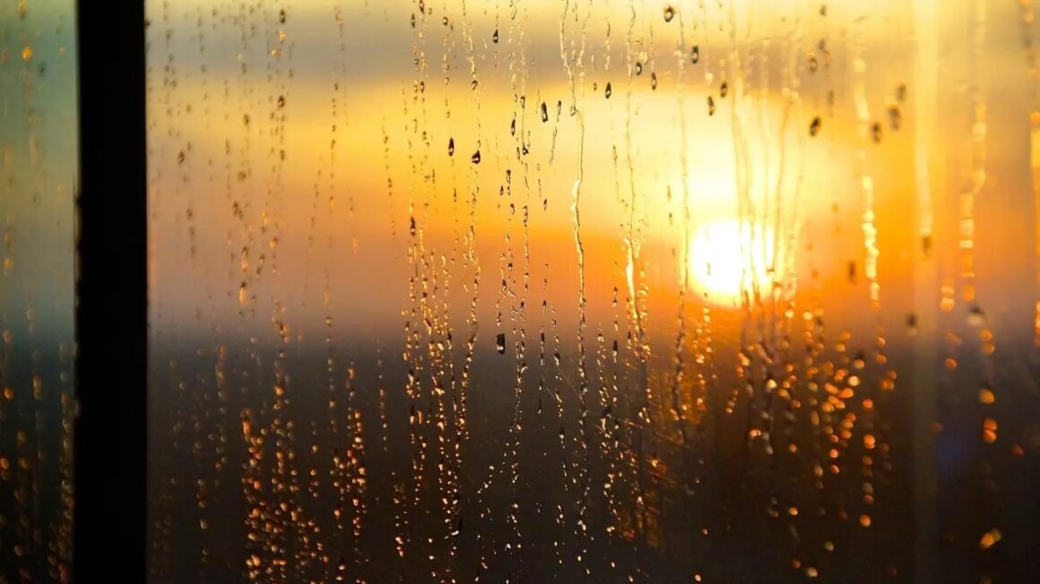 Indomet prevé pocas lluvias y temperaturas calurosas para este viernes