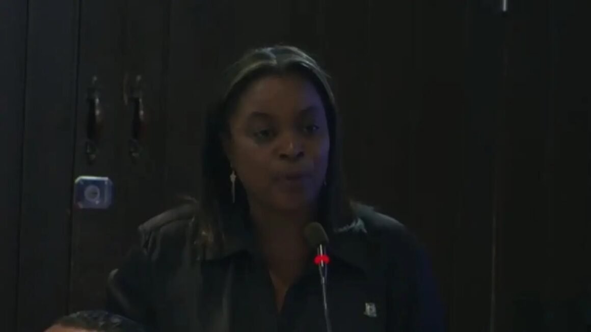 Diputados abandonan sesión en solidaridad con Millys Martínez